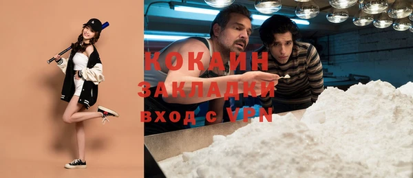 стаф Ладушкин