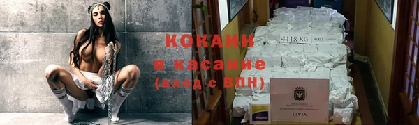 стаф Ладушкин
