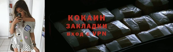 стаф Ладушкин