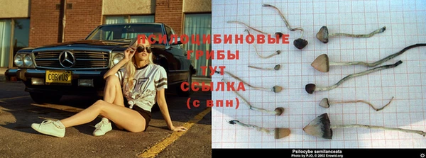 MESCALINE Лагань