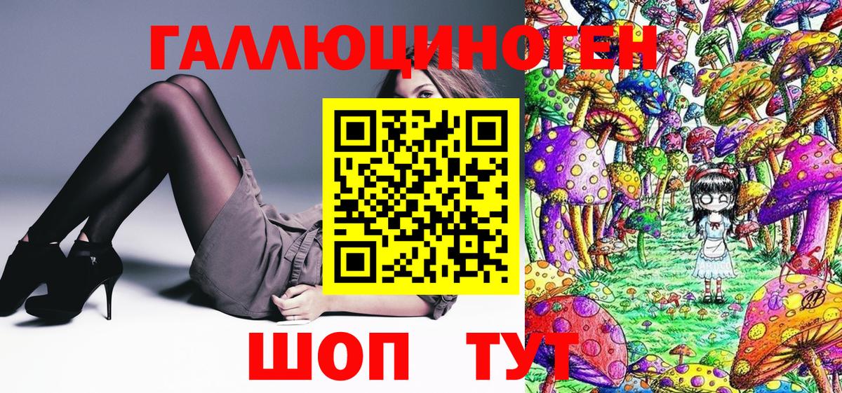 Малгобек  Псилоцибиновые грибы мицелий  Вход с VPN 