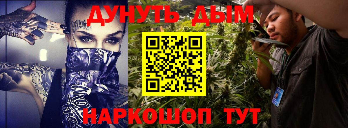 Каннабис сатива Малгобек